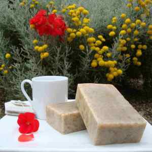 Green Tea Soap | Tea Tree Soap | Antioxidant Soap - Artisan Cosmetics